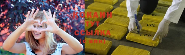 прущие грибы Балахна