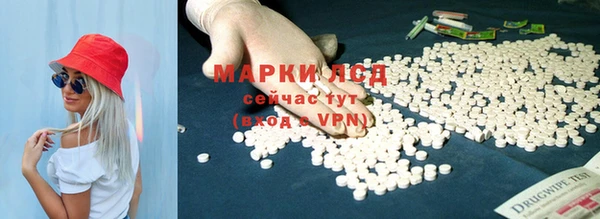 прущие грибы Балахна